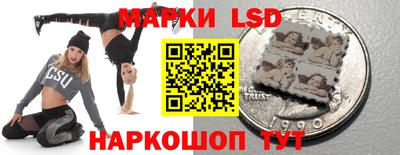 шишки Кимры