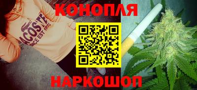 шишки Кимры