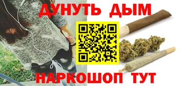 шишки Кимры
