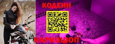 шишки Кимры