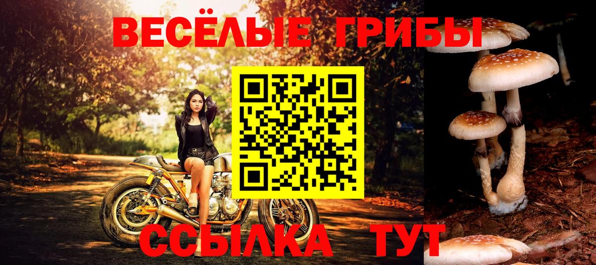 Десногорск  цены   Вход с VPN  Галлюциногенные грибы Cubensis 